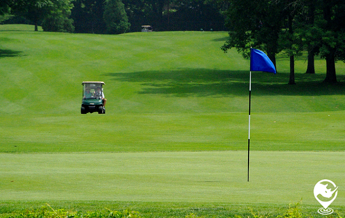 Golf course w cart