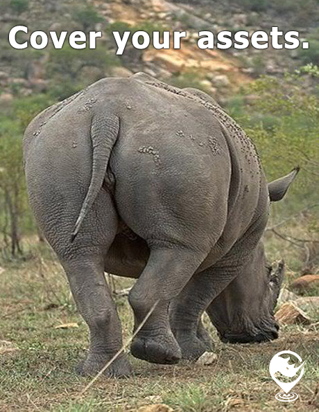 Rhino Walking Away